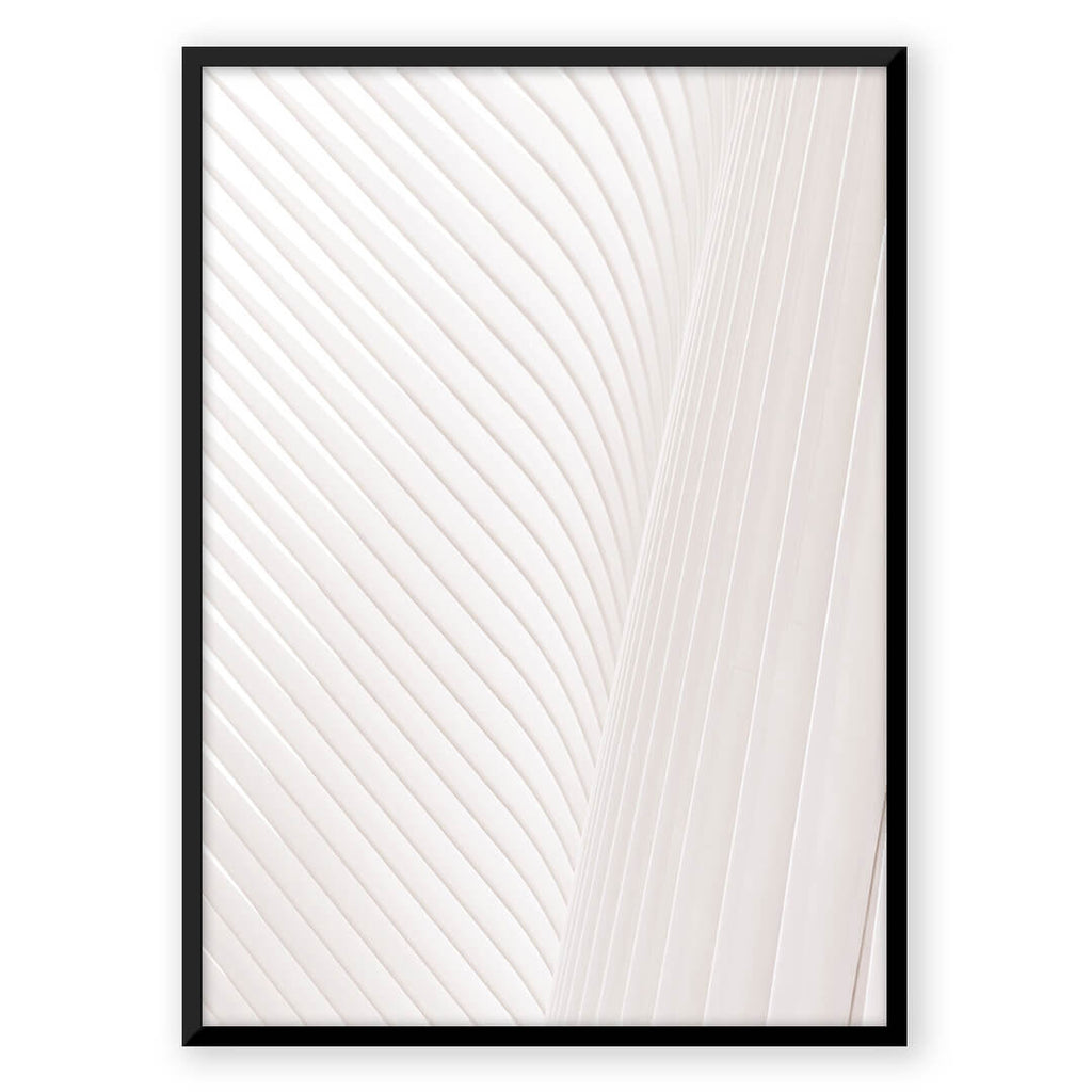 Minimalist Aura